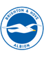 Brighton badge