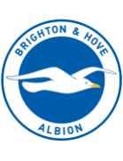 Brighton badge